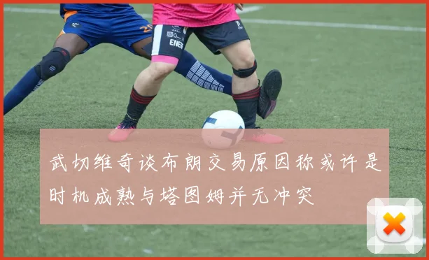 武切维奇谈布朗交易原因称或许是时机成熟与塔图姆并无冲突